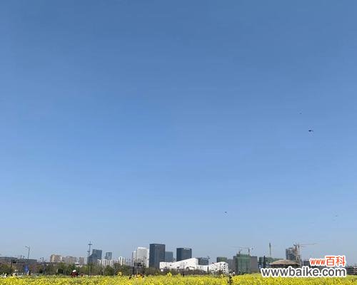 瓜萎花花语有何含义？它在花语中扮演什么角色？