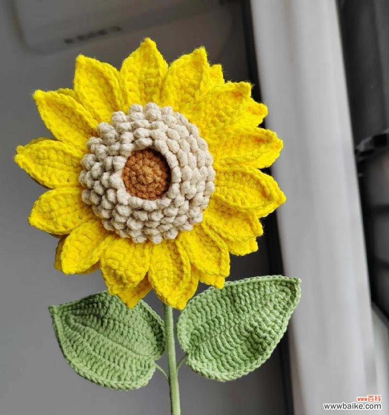 向日葵之花语是什么?它象征着什么?