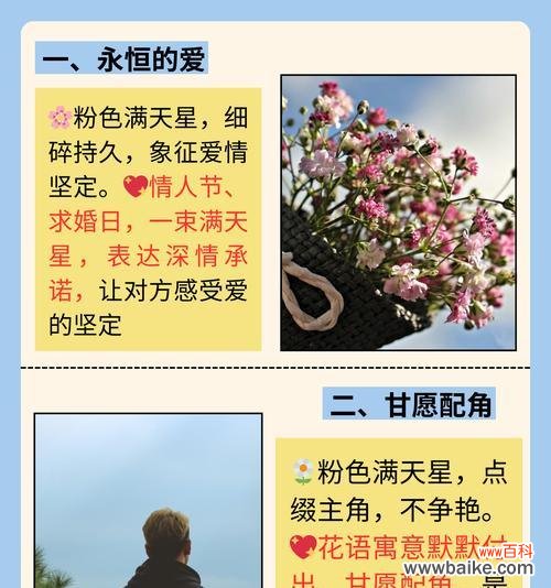 橘满天星花语有哪些?它有什么特别的含义吗?