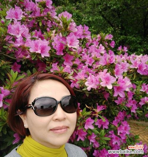 探寻杜鹃花的神秘与美丽 杜鹃花的象征意义及文化内涵