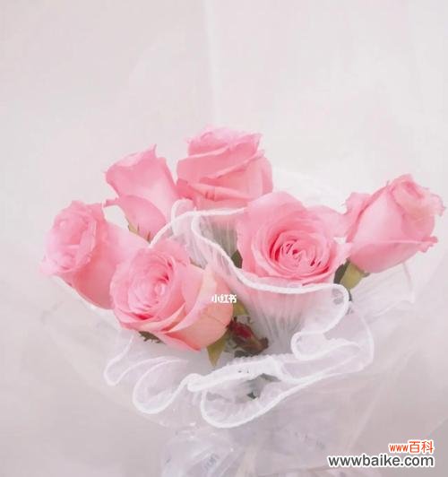 探究粉玫瑰花语的深层含义 粉玫瑰的花语