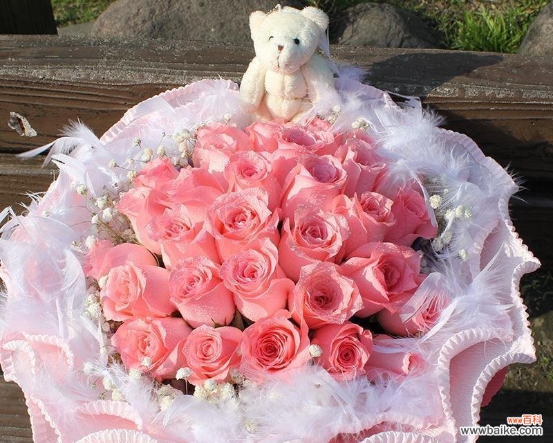 探寻粉红色玫瑰背后的意义与情感 粉红色玫瑰的花语