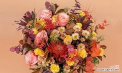 红羽玫瑰花语是什么？它象征着什么意义？