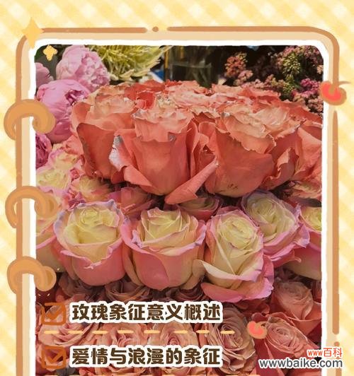 红羽玫瑰花语是什么?它象征着什么意义?