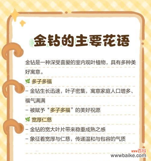 红金钻的花语是什么?