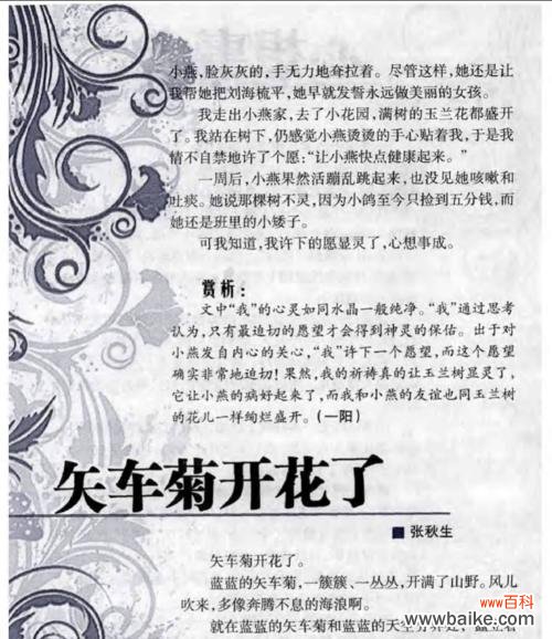 黄失车菊花语是什么意思?