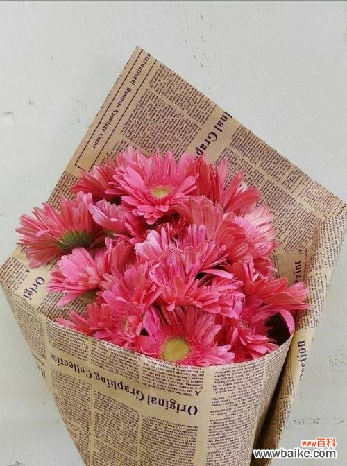 解读粉色扶郎花的花语,传递爱与美的寓意 粉色扶郎花的花语和寓意