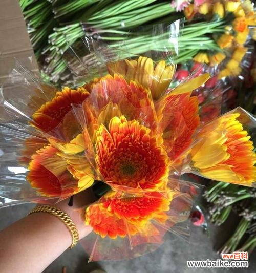 探索经典诗词中蕴含的人生智慧 《以扶郎》的深刻寓意