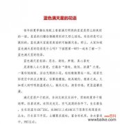 色满天星花语是什么意思？