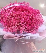 满天星花语月是什么意思？如何正确理解？