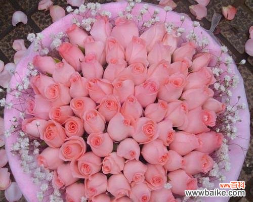 玫瑰花象征爱情的永恒之美 十二朵玫瑰的深意