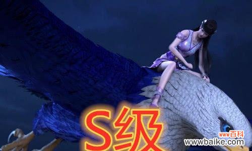 白凤的花语具体是什么?