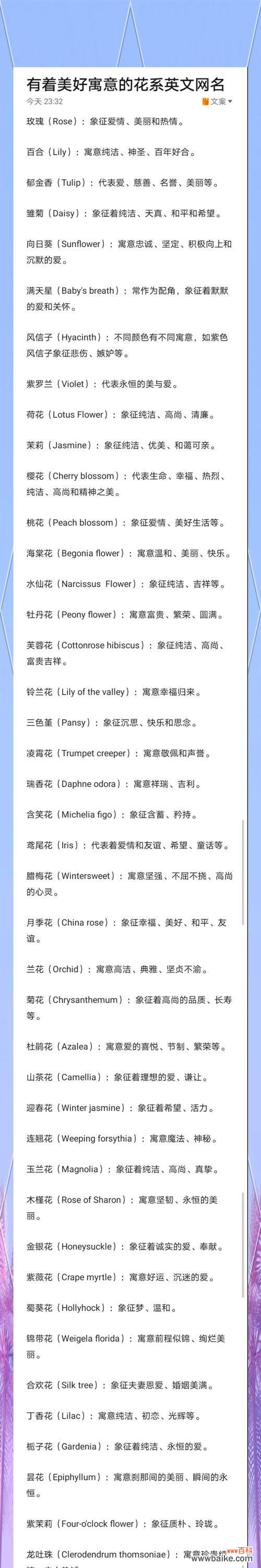 小凤凰花的花语有何寓意?