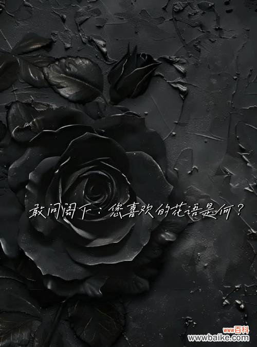 每天一花的花语有何深意?