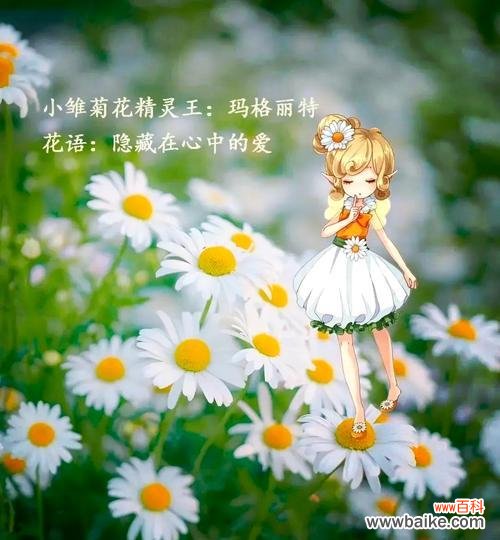 并帝连的花语有何含义?