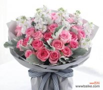 探寻十一朵粉玫瑰所代表的情感和情境 十一朵粉玫瑰的象征意义