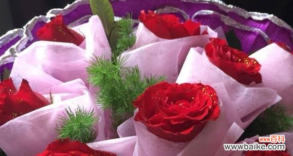 爱意绵长如玫瑰香——探寻十一朵粉色玫瑰的花语 十一朵粉色玫瑰花语