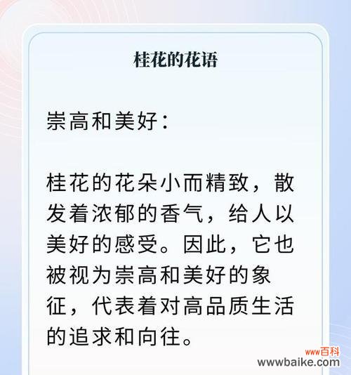桂花树枝的花语有何特别之处?