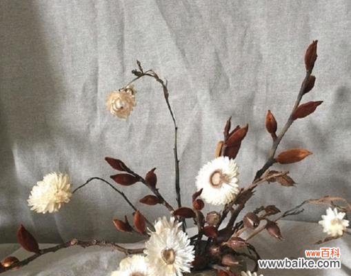 麦秆菊 以麦秆菊的花语为主题的文章