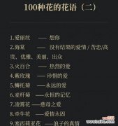 花语的含义和用途是什么？