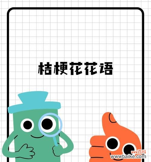 深粉桔梗的花语代表什么？