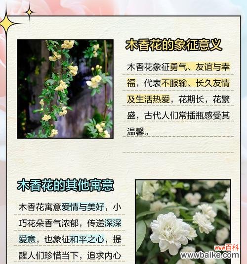 塔姬秋丽花语代表了哪些情感？