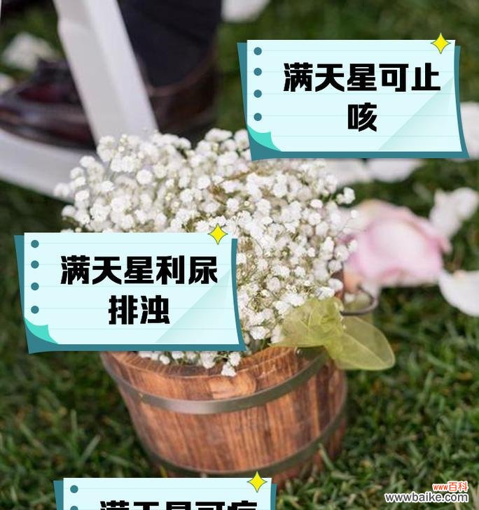 满天星额花语象征着什么？