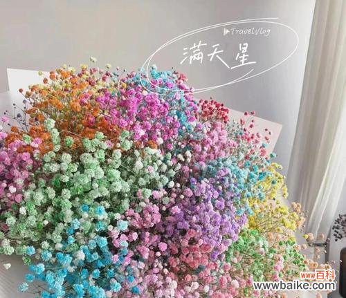 满天星额花语象征着什么？