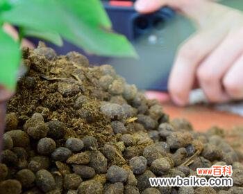 加速农家肥腐熟的方法及其在农业生产中的应用 农家肥腐熟的意义和作用