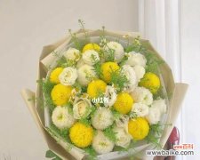 探寻乒乓菊花语的深层意义 乒乓菊花语的含义及传承