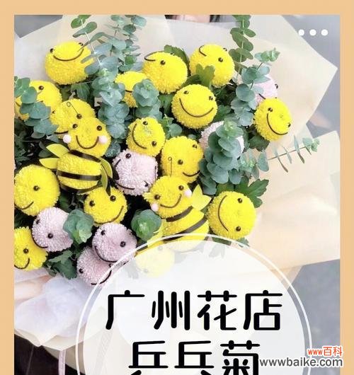 探寻乒乓菊花语的深层意义 乒乓菊花语的含义及传承