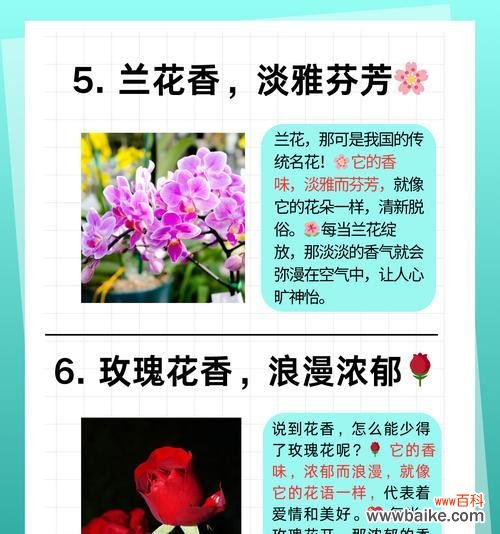 白紫茉莉的花语是什么?如何用它传递情感?