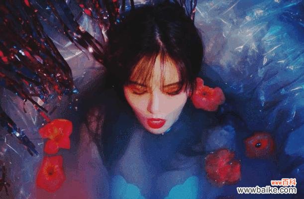 泫雅花的花语有哪些?如何用泫雅花表达情感?