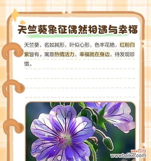 最美的花语是什么?如何用花语表达美好?