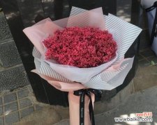 水晶草花语解析及其象征的爱情之美 水晶草的花语——恋爱甜蜜如初