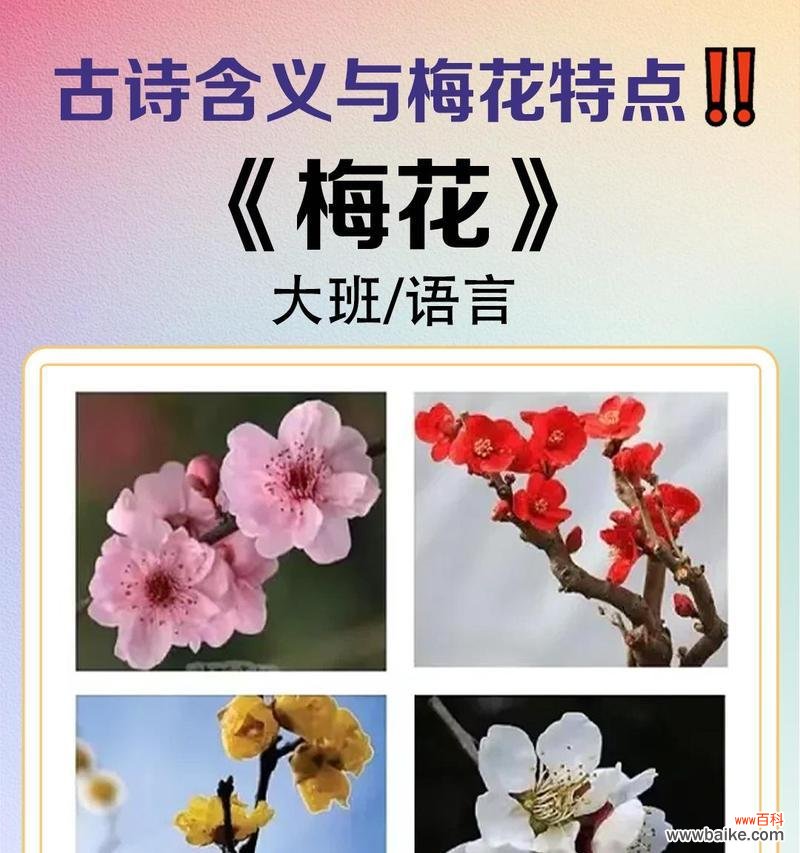 6月雪的花语代表什么含义？
