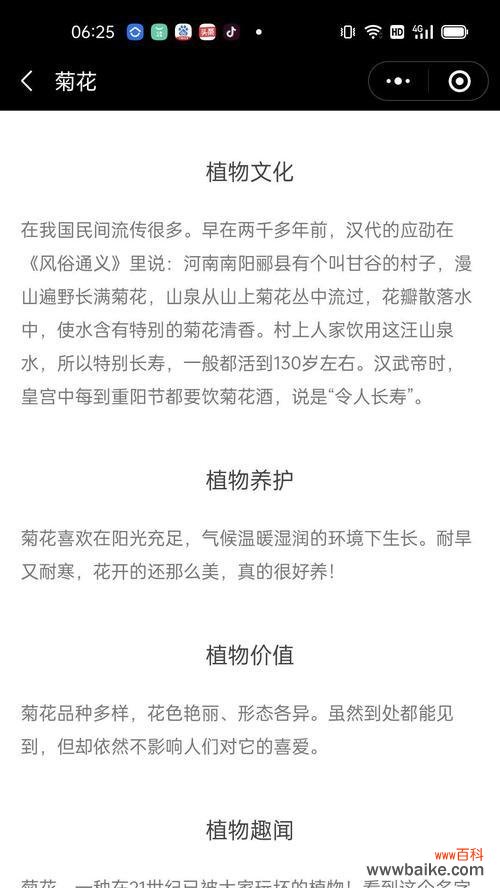 车矢菊花的花语是什么意思?