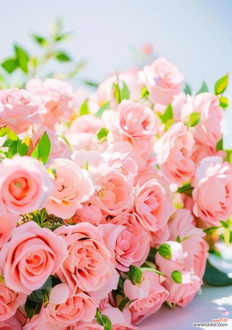 粉玫槐的花语代表什么？