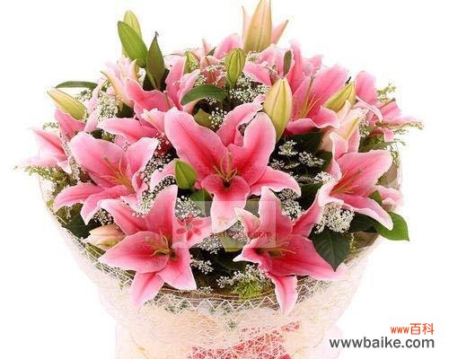 探索粉色百合花语的象征意义及其传递的情感 粉色百合花语的深刻寓意