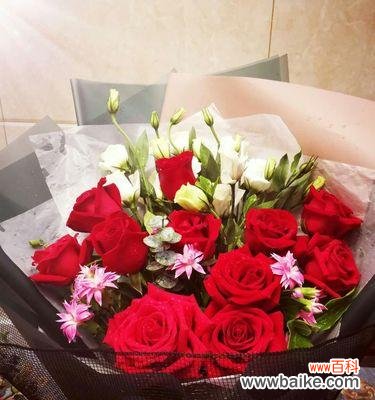 白星菊的花语有何含义？适合哪种场合？