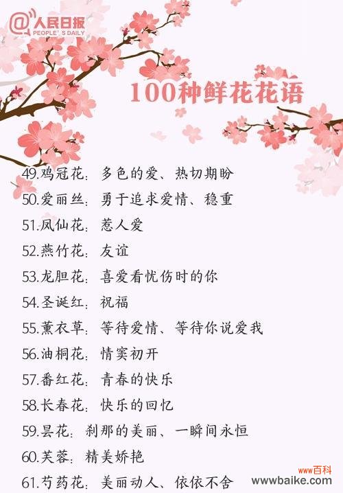 雪花木花语是什么？如何用在特别的日子里？