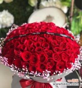 探究不同鲜花的含义及象征意义 花语