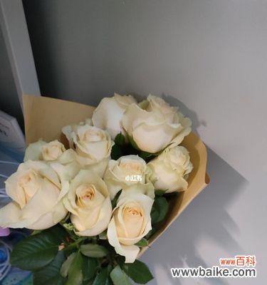 探索香槟色玫瑰所传达的深刻情感 香槟色玫瑰的花语及其意义