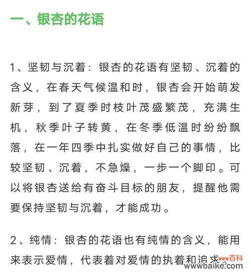 银杏树叶的花语是什么？银杏叶象征着什么？