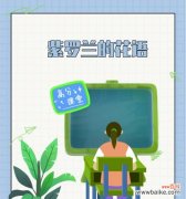 紫罗兰的花语是什么？紫罗兰代表了哪些情感？