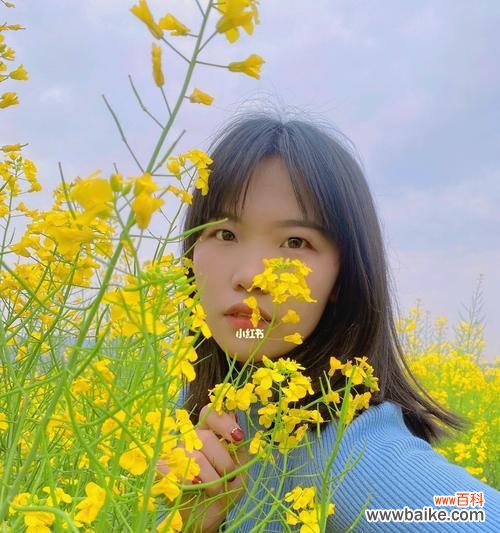 美丽绽放的花海中，传递着什么样的寓意？ 油菜花的花语