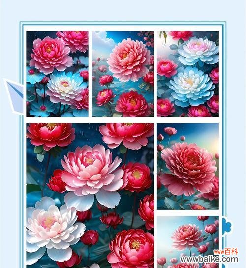 牡丹花语象征着什么？它有哪些特别的含义？