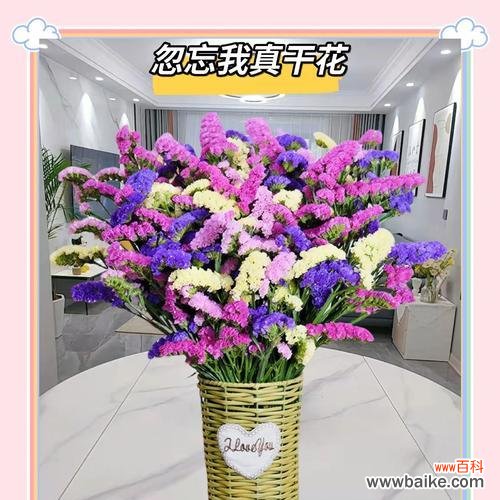 勿忘我花语是什么意思?它代表了怎样的情感?