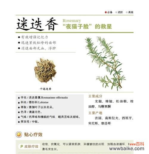 迷送香的花语是什么？迷送香花语的象征意义是什么？