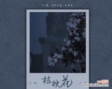 丸和桔梗的花语是什么？丸和桔梗花语的象征意义是什么？